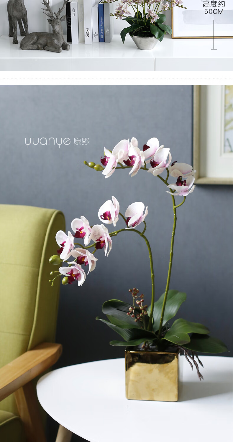 原野 现代自然风保湿蝴蝶兰 仿真花假花套装客厅酒店电视柜装饰花摆件