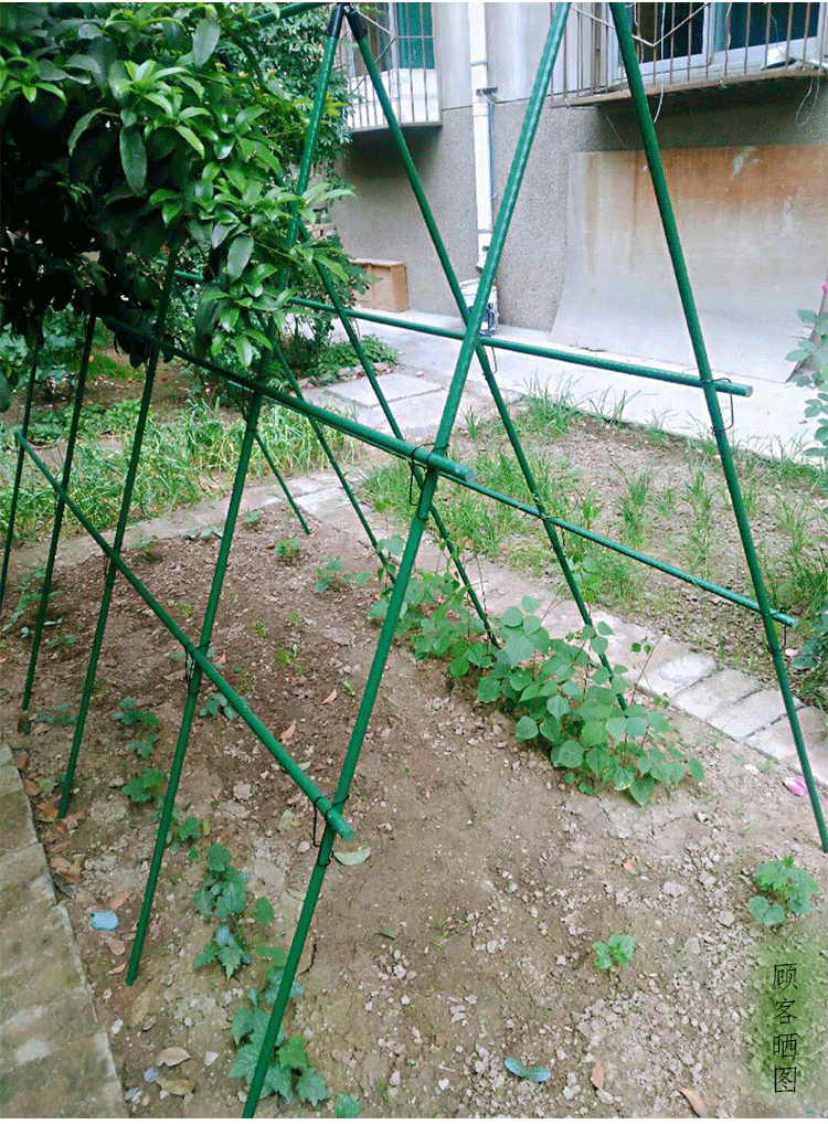家庭种植架 菜园蔬菜种植支撑架大棚骨架 户外种菜豆角黄瓜爬藤架 11m