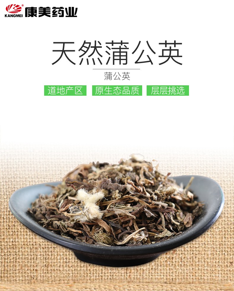 康美蒲公英中药干蒲公英茶药材泡茶养生独立小包装 50g