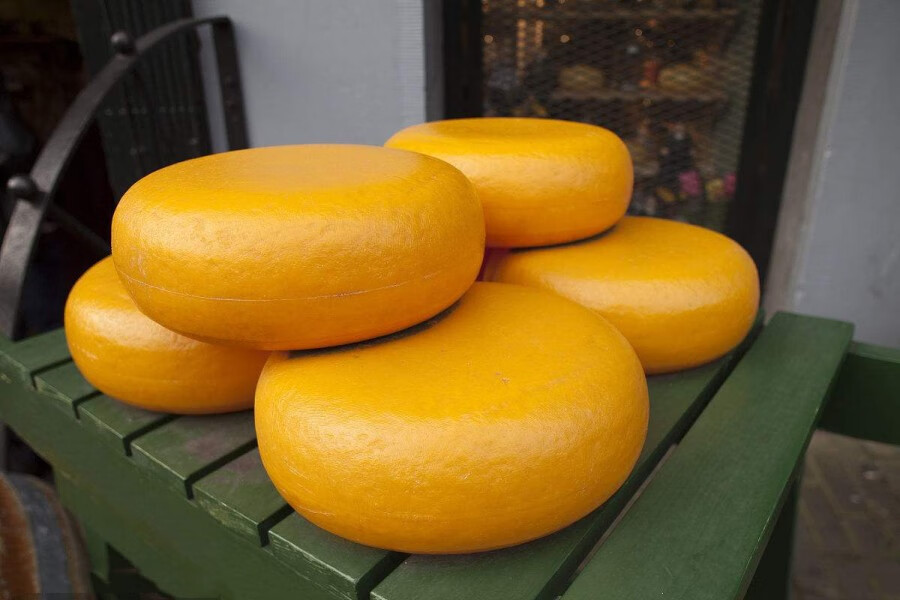荷兰进口总统黄波芝士 gouda 整轮淡味即食 黄波车轮干奶酪 烘焙 奶酪