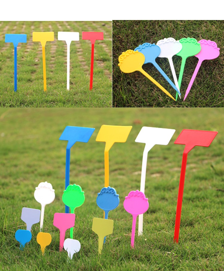 50cm大牌面大标识牌塑料插签盆栽标签插牌植物插地牌多肉标签牌红色大