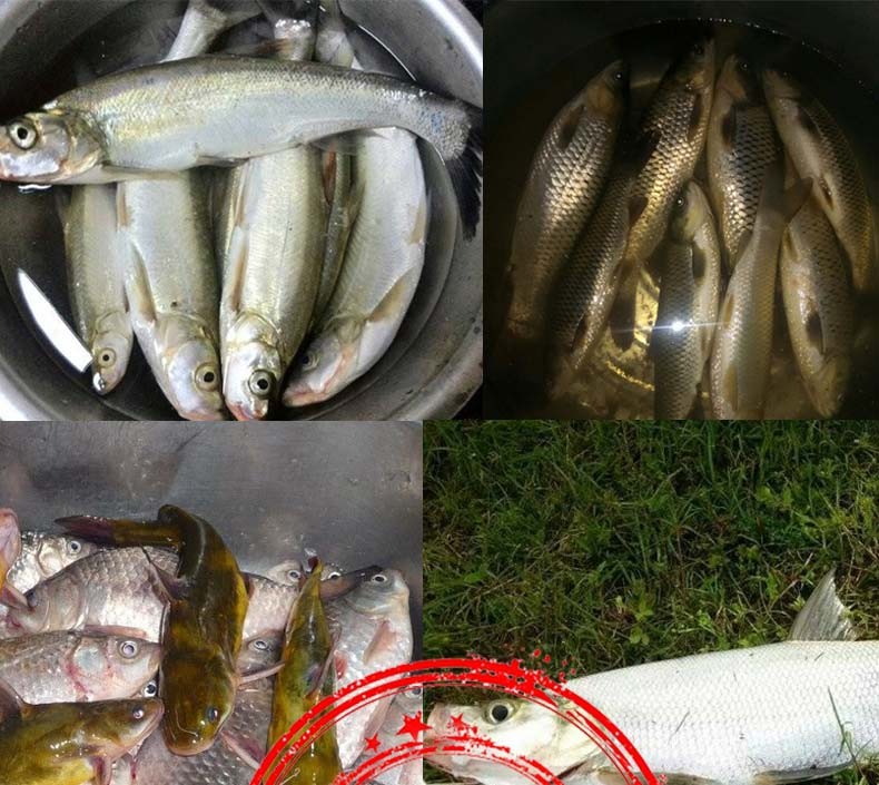 虾皮钩仿生白条钩鱼皮路亚钩毛钩 仿生鱼皮串钩 50克胶皮铅坠(5套) 7