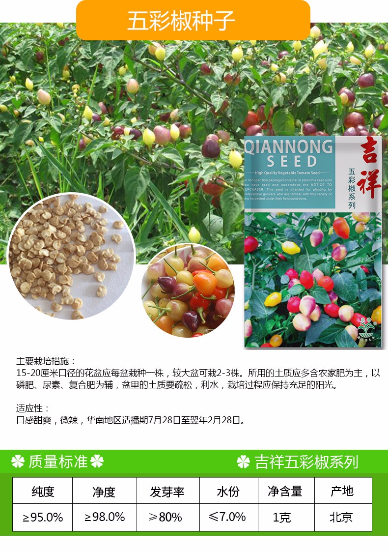 凤鸣雅世辣椒种子喝彩椒种子吉庆果种子 朝天椒皱皮椒小米椒种辣椒