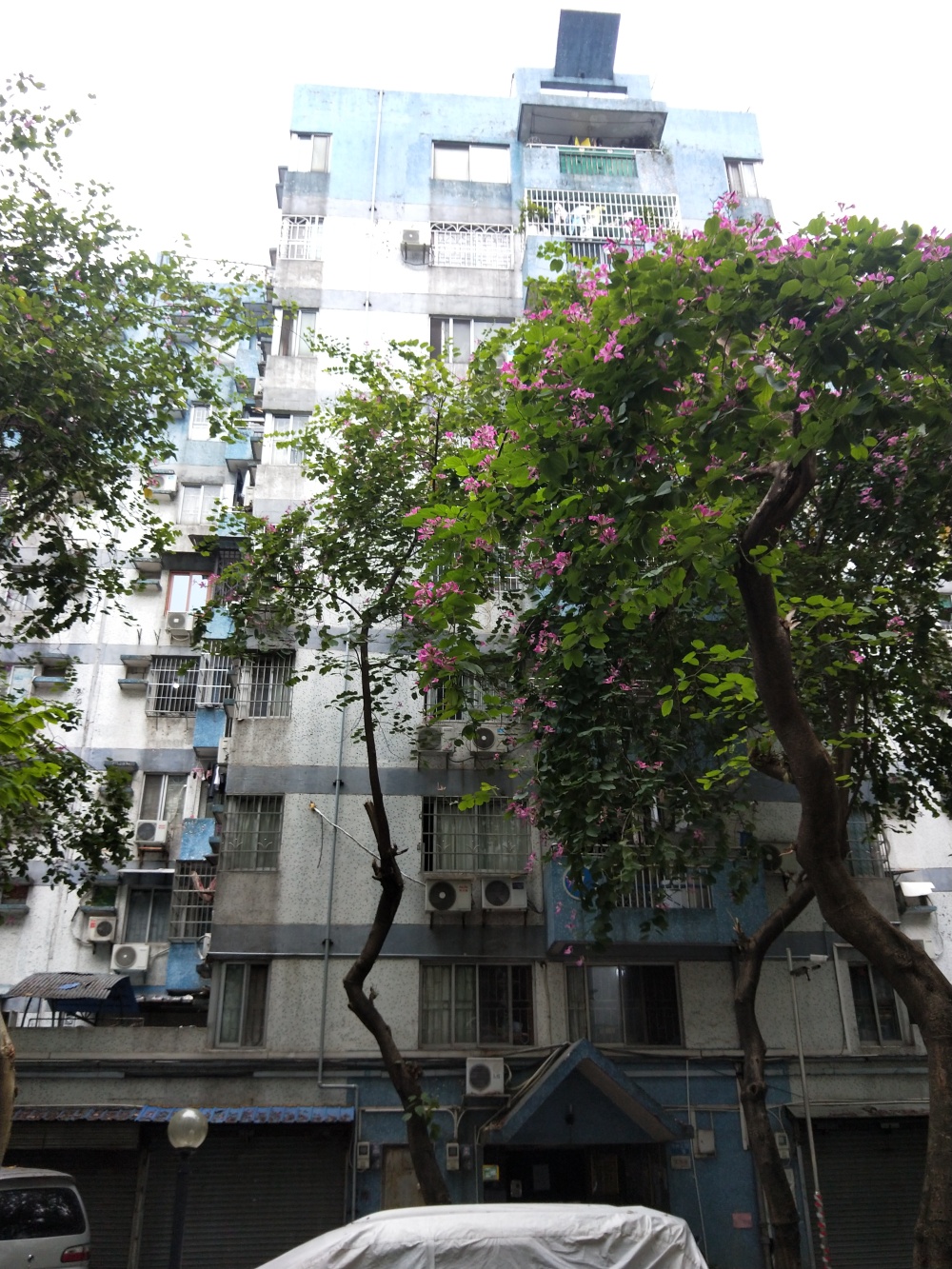 佛山市南海区大沥镇黄岐黄海路河畔花园7座2d房