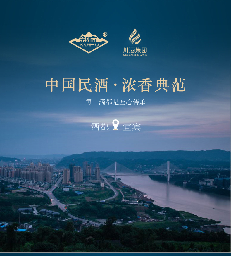 叙府精品青花大曲45度450ml2瓶纯粮食酒口粮酒浓香型白酒四川宜宾酒