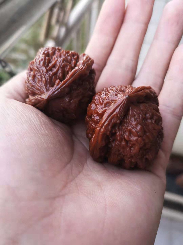 核知道 核桃文玩 狮子头 把玩核头 矮桩饱满 圆润 掌柜精选 白狮子 