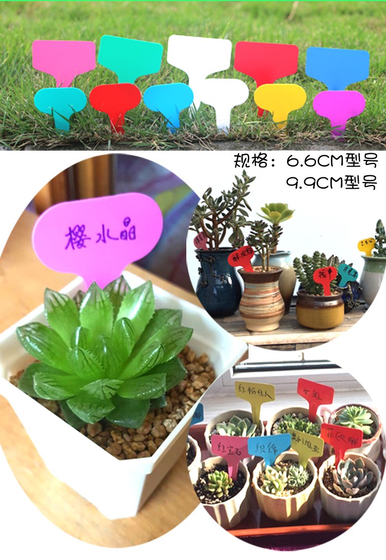 50cm大牌面大标识牌塑料插签盆栽标签插牌植物插地牌多肉标签牌红色大