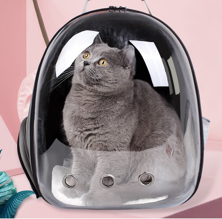 猫包太空舱猫背包全透明宠物包外出便携包猫咪旅行包狗狗外出猫包全