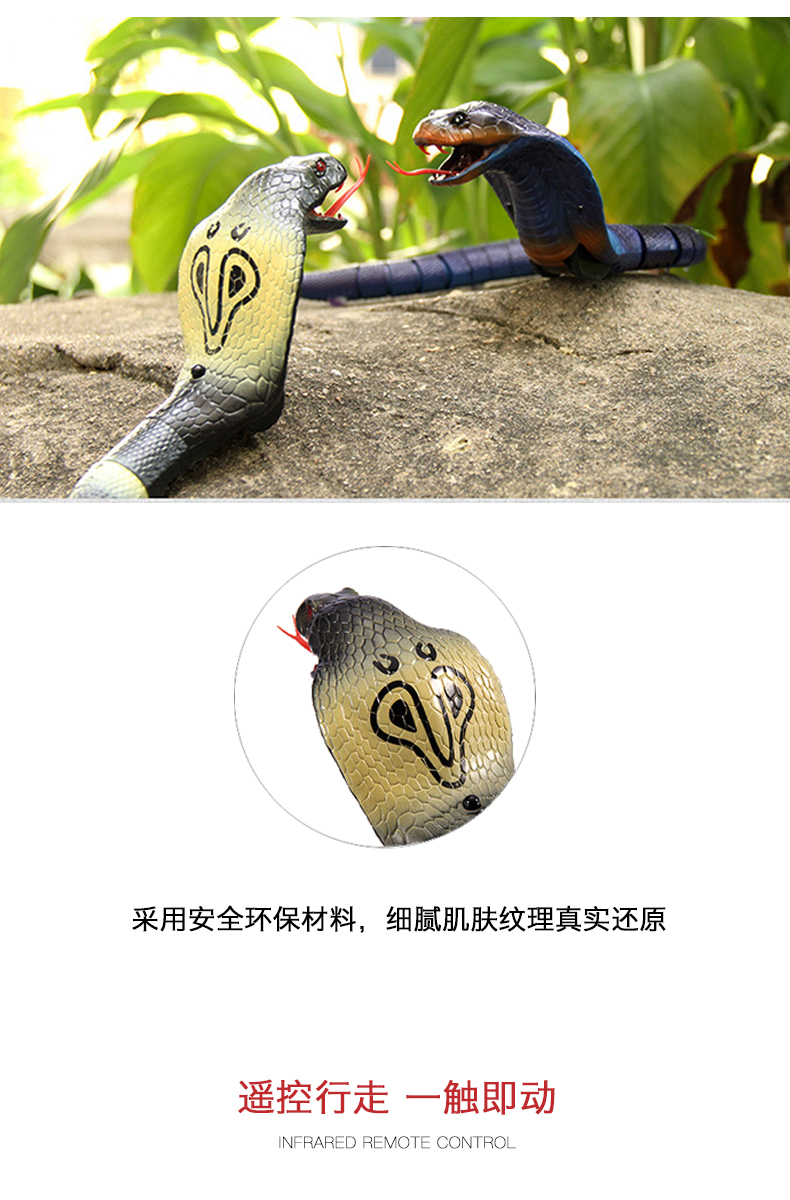 玩控电动遥控仿真蛇玩具动物模型整人整蛊道具 遥控蝎子
