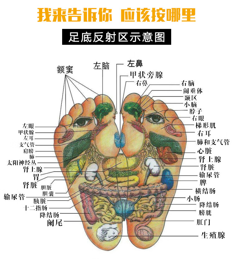 指压板跑男同款足底按摩垫脚底趾压板小竹笋超痛压指板指压垫脚趾足垫