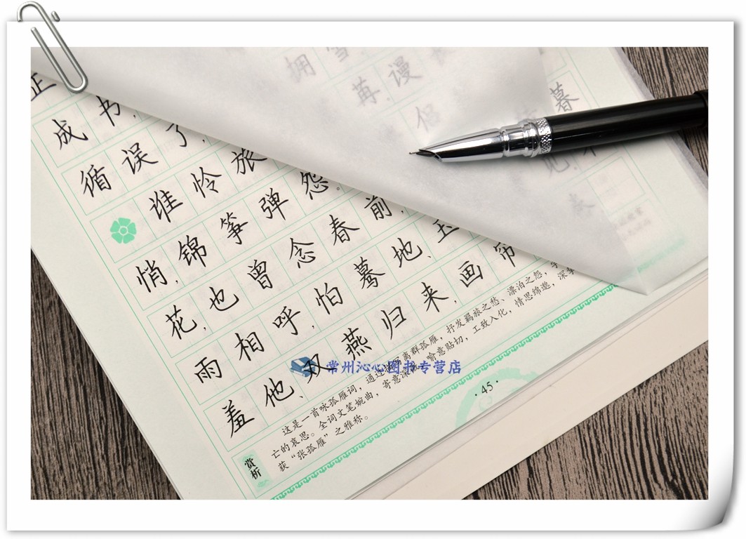 《一笔好字 著名书法名家 罗杨字帖 宋词三百首 楷书字帖 新编语文