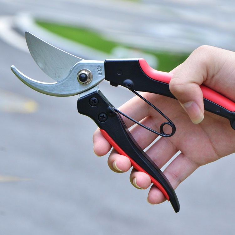 剪刀园艺剪刀粗枝剪园林剪果树剪五金工具果剪 花艺剪刀粉色【图片