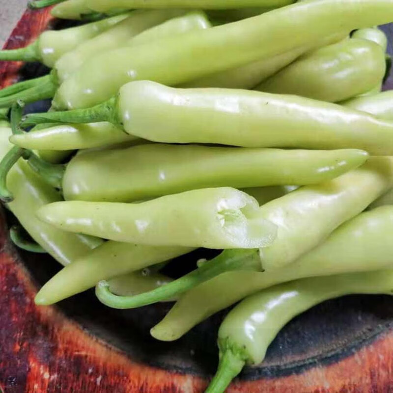轻恋现货 广西野山椒 新鲜小米椒 白辣椒 白玉椒 尖椒 新鲜蔬菜辣子