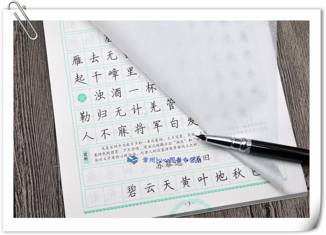 《一笔好字 著名书法名家 罗杨字帖 宋词三百首 楷书字帖 新编语文