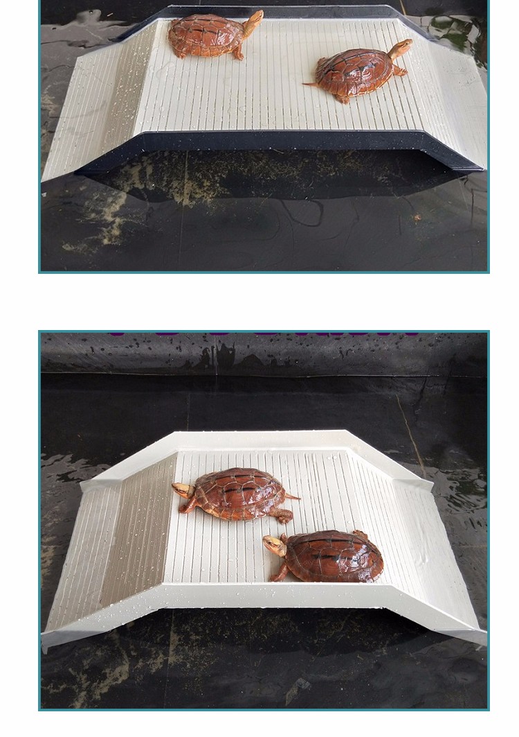 台大号高水位喂食台爬坡乌龟躲避洞宠物小中大号浮台造景 单爬梯中号