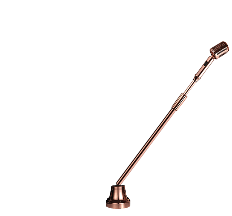 靓韵 麦克风复古摇摆话筒有线家庭ktv落地立k歌麦支架一体式包房专用