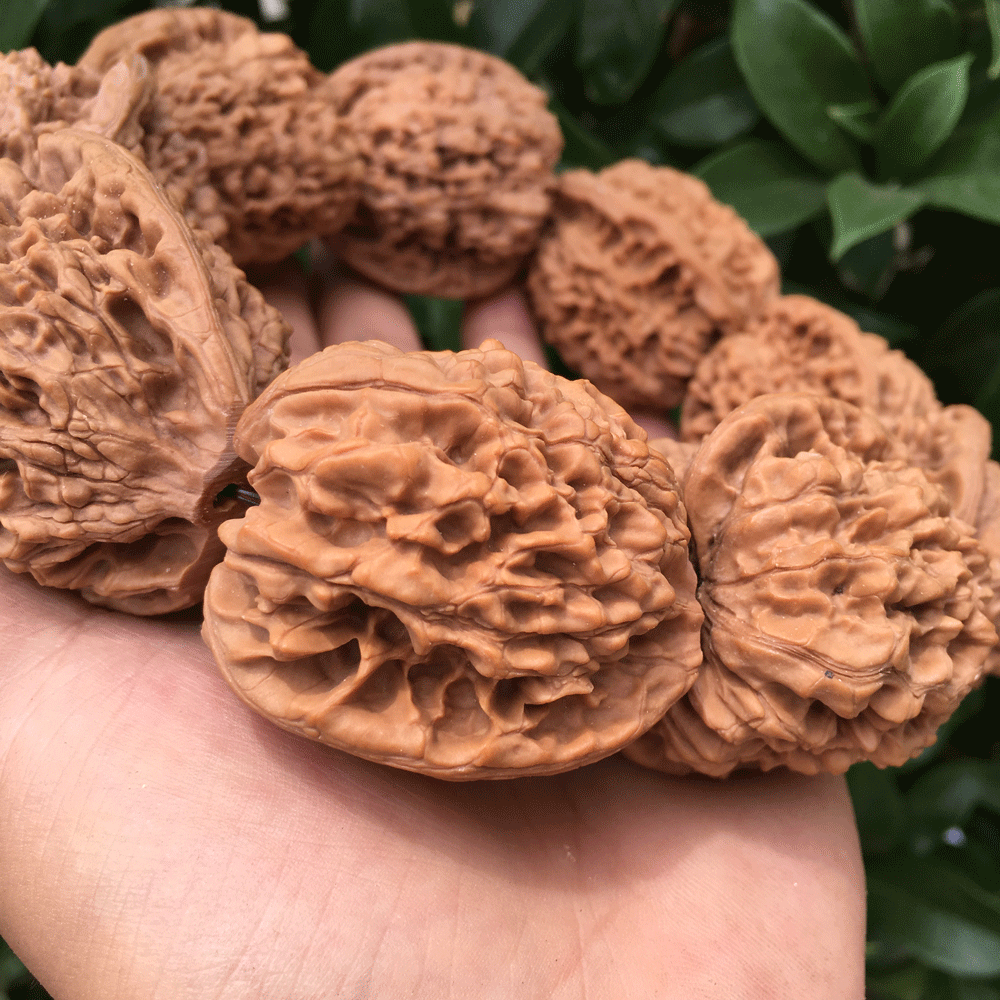 魅祥精品文玩核桃官帽麒麟纹核桃手串手持野生大金刚山把玩核桃菩提