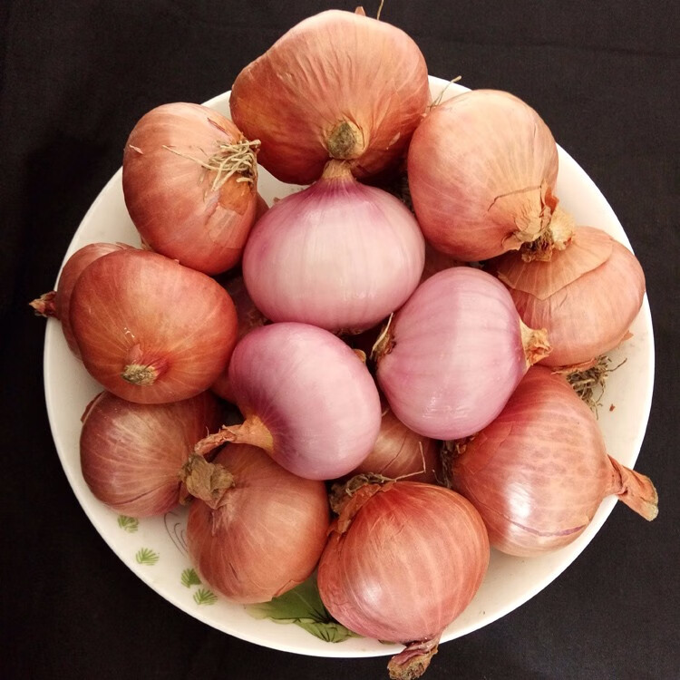 源外园 新鲜小圆葱珠葱 香葱头 健康轻食 3斤 大
