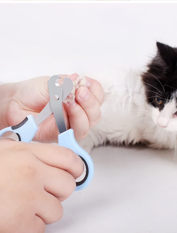 憨憨宠猫指甲剪宠物指甲钳猫咪狗狗指甲刀宠物修甲剪刀宠物美容用品