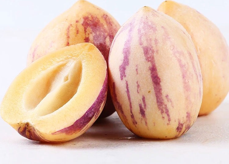 九舅公 人参果圆果 黄肉人生果 当季新鲜水果 2斤精选大果