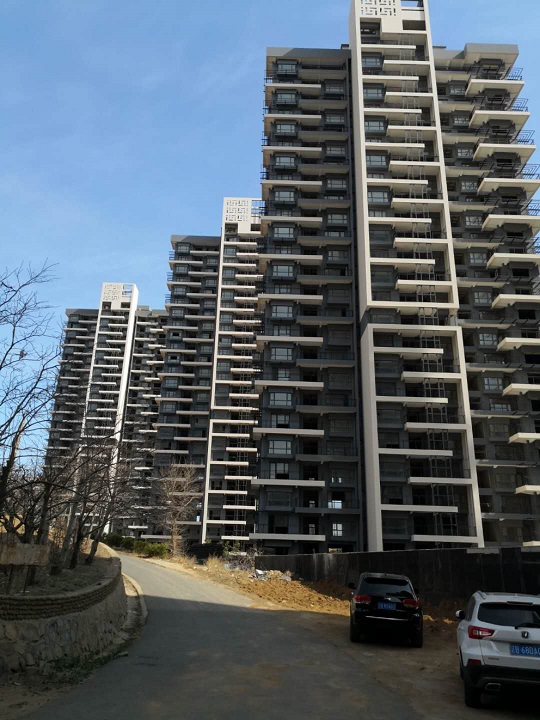 第一次拍卖大连开发区松岚村d1d10地块土地使用权和d4d8地块土地使用