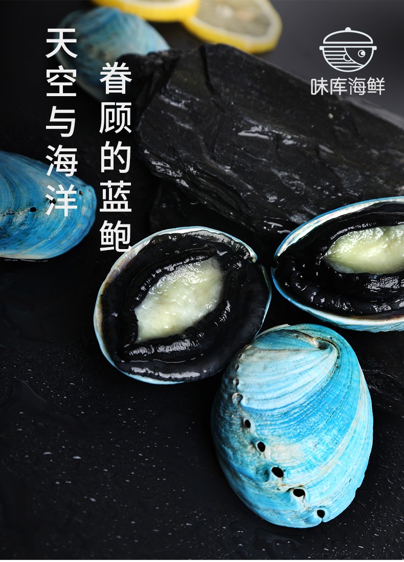 【活鲜 支持同城闪送】味库鲜活新西兰蓝鲍鱼(翡翠蓝鲍)8-10头/500g