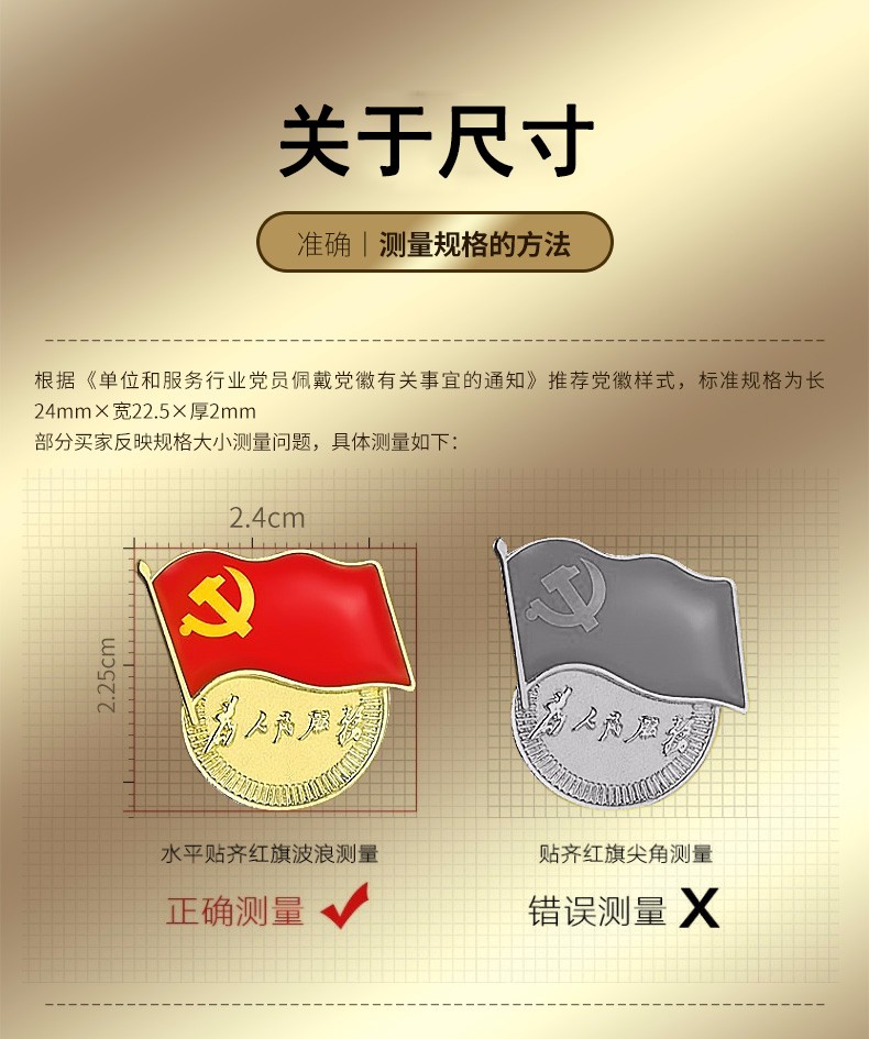 斯图(sitoo) 党徽胸章徽章磁扣别针 为人民服务 大号 为人民服务 人民