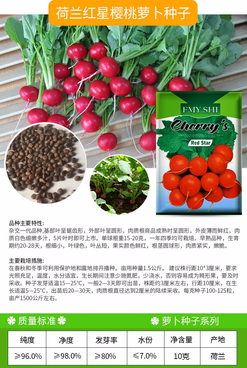 凤鸣雅世 樱桃萝卜种子小红水果春季秋四季播蔬菜种孑 阳盆栽蔬菜种籽