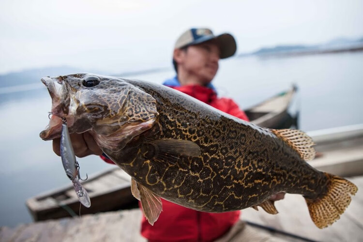 美夏ewe水肺防挂深潜悬浮米诺远投路亚饵鲈鱼/鳜鱼假饵鱼饵 10#蓝黄