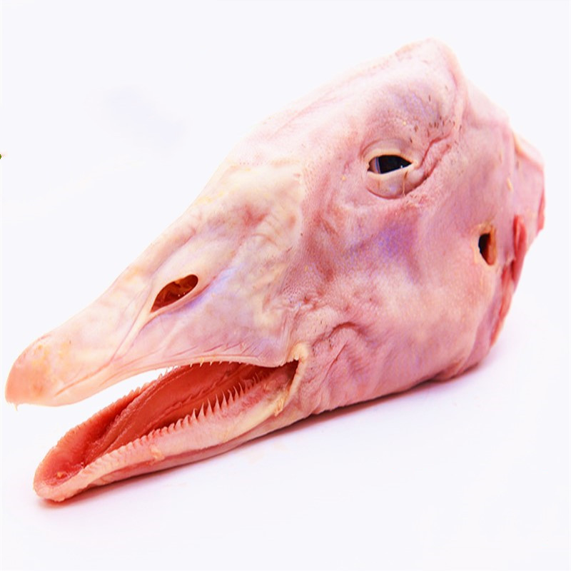 轻恋生鲜鹅头新鲜冷冻鹅头生鹅头农家散养老鹅分割食鲜大鹅头2kg