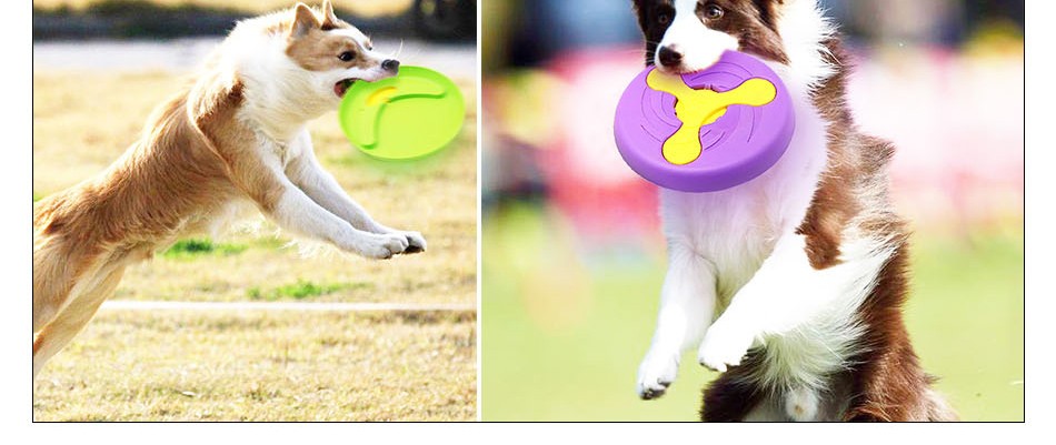 贝尼熊狗飞盘狗飞碟训犬用品耐咬结实可以浮水狗狗飞盘绿色飞盘狗用