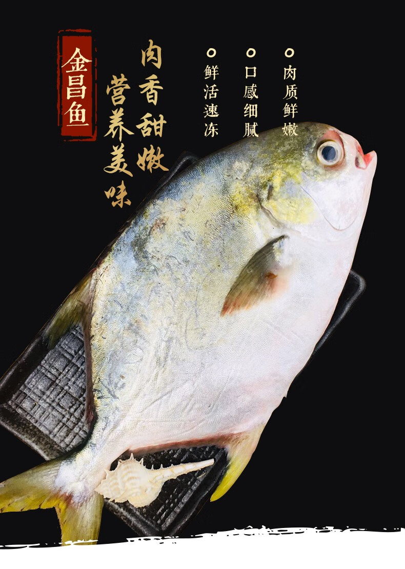 尚淘 东山岛鲜冻金昌鱼500-600g/条 新鲜金鲳鱼平
