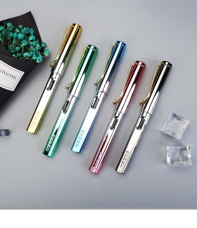 2支装传人钢笔810正姿成人练字办公男孩女孩小学生用儿童暗明尖初学者