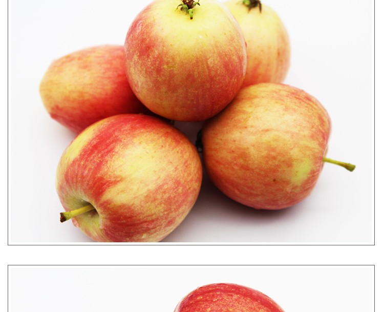 东北特产k9开九果子25kg酸甜小苹果黄太平伏果花红果新鲜水果
