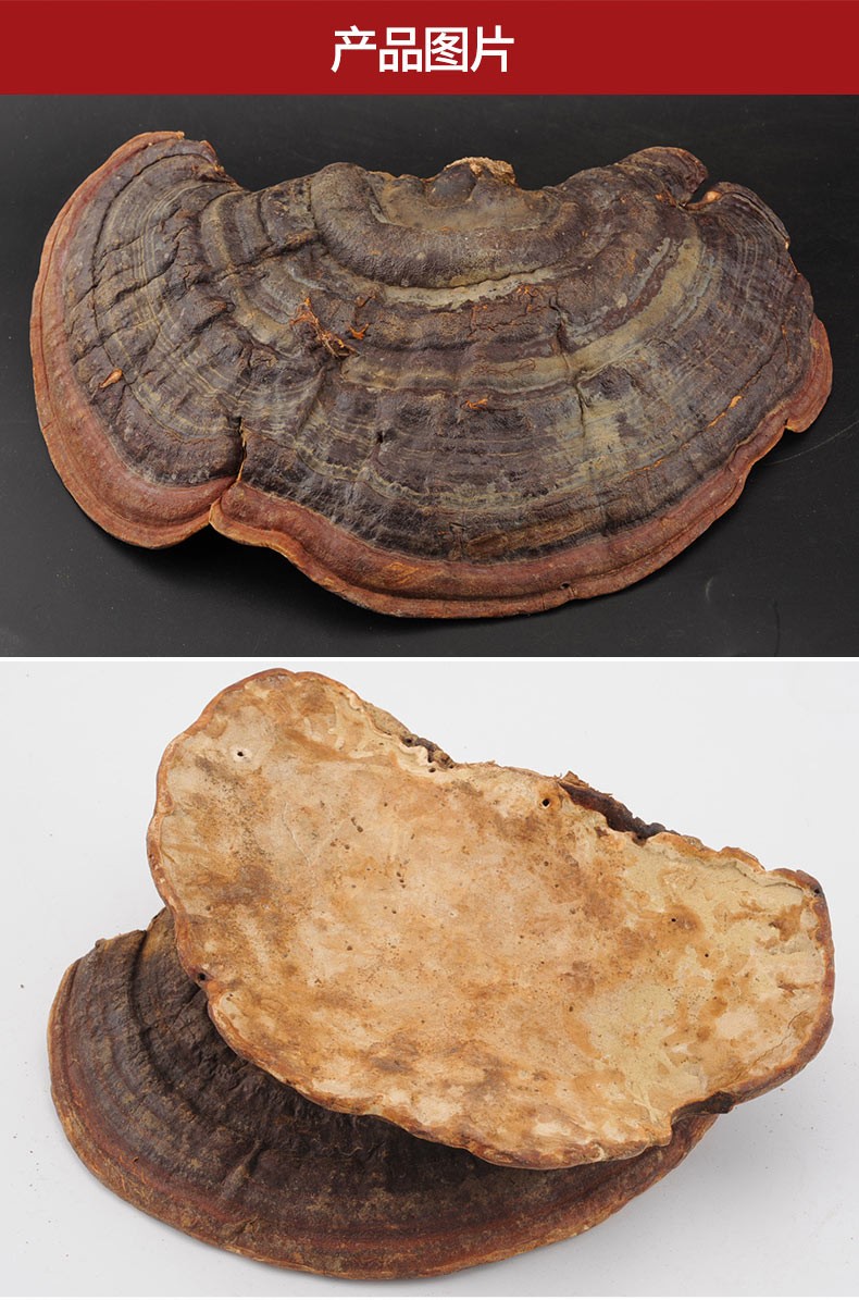 三京堂 深山赤灵芝整枝 野外生长赤灵芝片 无柄赤芝茶林芝粉 500g【高