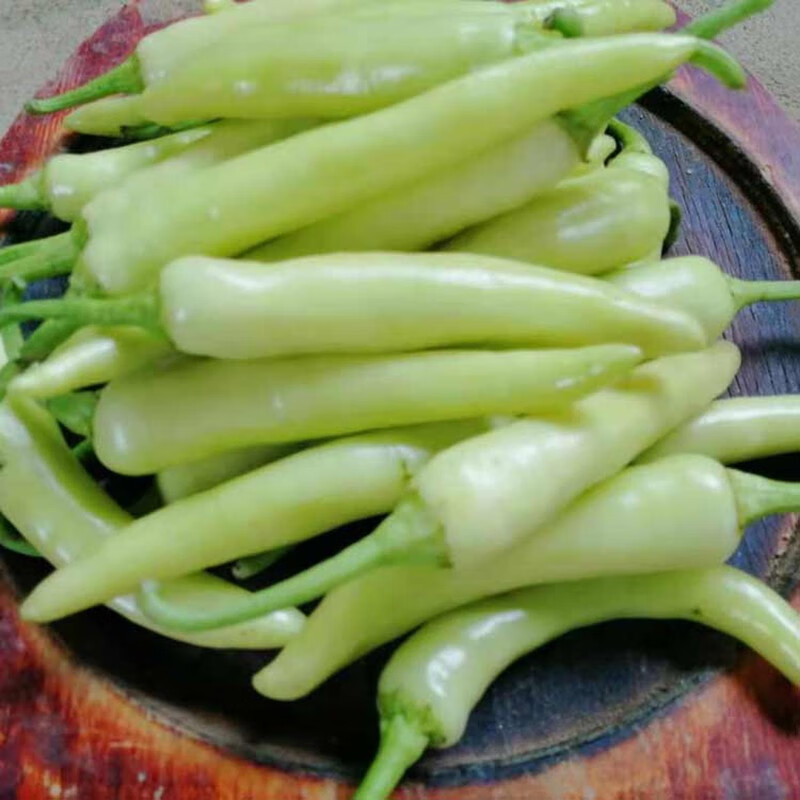 轻恋现货 广西野山椒 新鲜小米椒 白辣椒 白玉椒 尖椒 新鲜蔬菜辣子