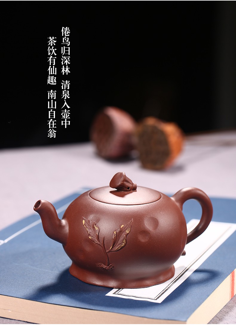 徐保国紫砂壶宜兴纯全手工原矿紫砂功夫泡茶壶茶具莲蓬壶紫泥