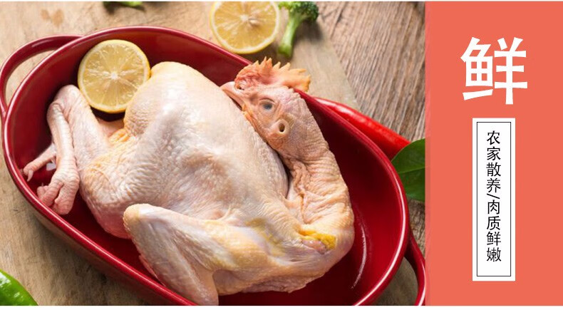 对面小城 农家散养土鸡三黄鸡童子鸡嫩鸡肉 新鲜生鸡肉 整只装 700g