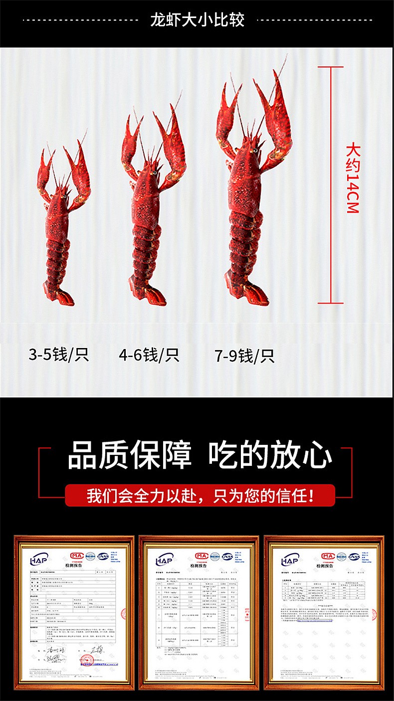 (99元三盒)亿锅虾麻辣小龙虾 精选麻辣虾尾350g 净虾200g 约25-40尾