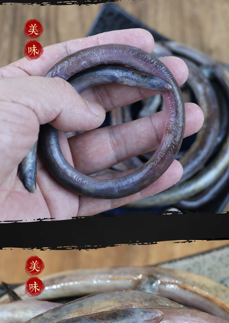 东山岛血鳗250g 鳗鱼肉质肥美细嫩 熬汤食材海鲜水产鱼类叁时鲜 250g
