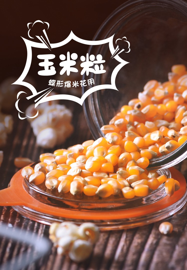 展艺蝶形小玉米粒100g*10包 爆米花玉米粒 微波炉苞米花家用原材料