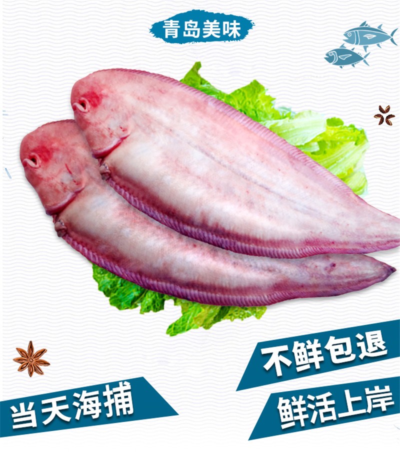 博多客 鲜活舌头鱼 新鲜鳎目鱼 鲜鳎米鱼 深海鱼 海鲜巴沙鱼 鲜龙利鱼
