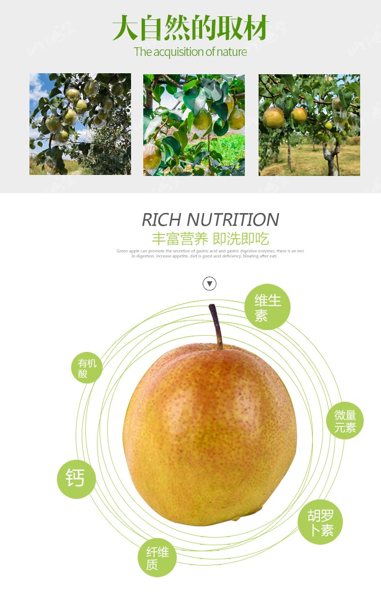 【原产地直发】山西玉露香梨 玉露香梨 山西梨 新鲜水果 酥脆香梨