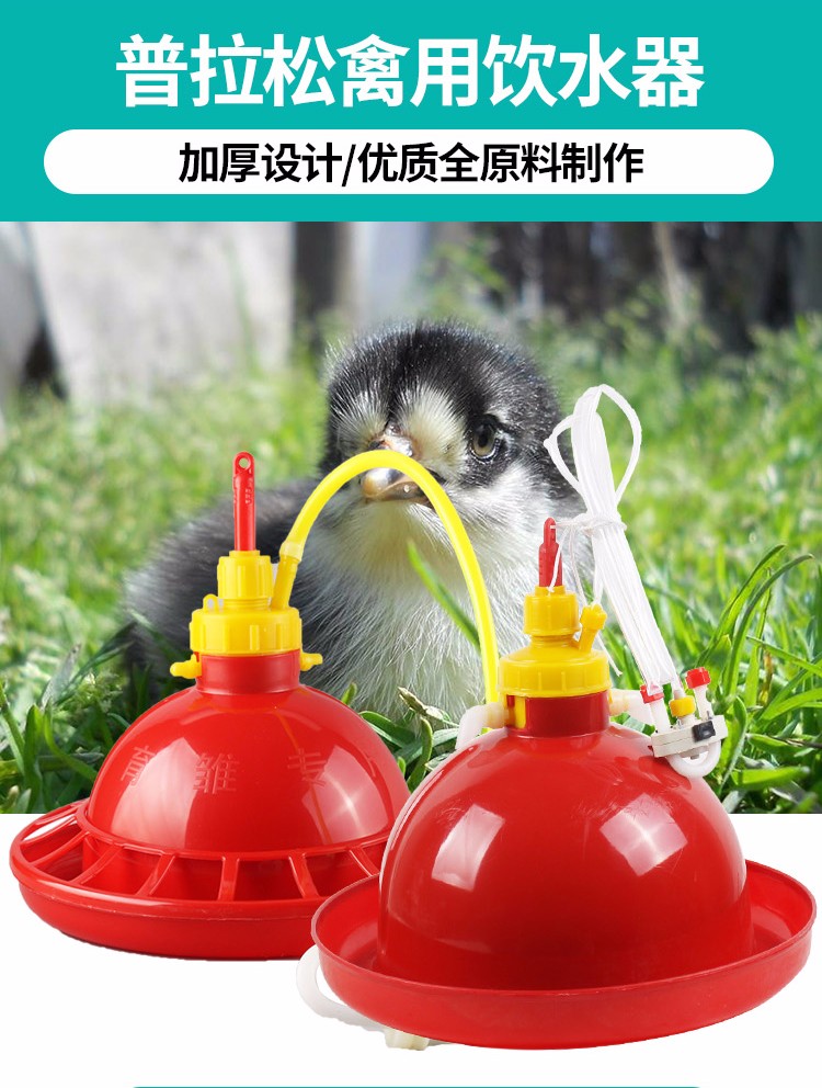 耐尔尼普拉松鸡饮水器养鸡自动喂水器鸡用小鸡喝水壶鸽子水桶水壶鸡鸭