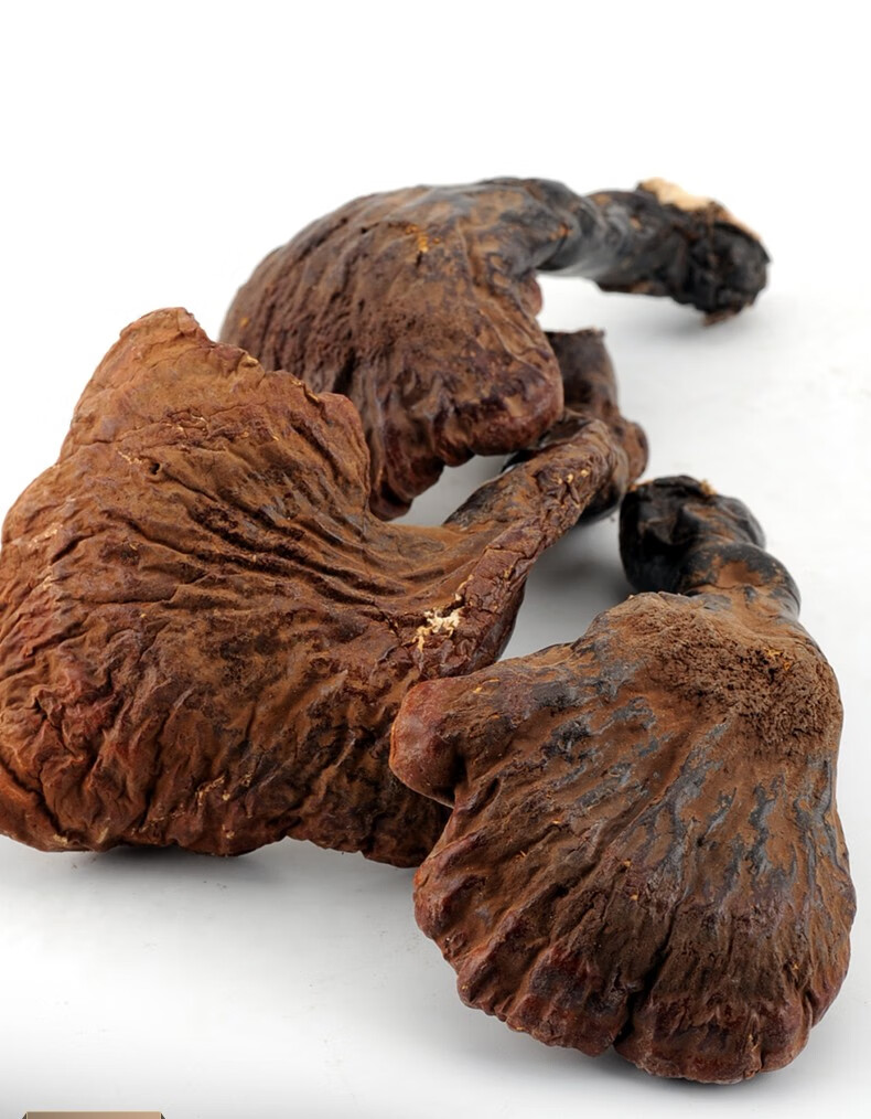 【3赠1】汇吉工坊 野生松杉灵芝整枝 木灵芝茶 长白山铁灵芝红赤灵芝