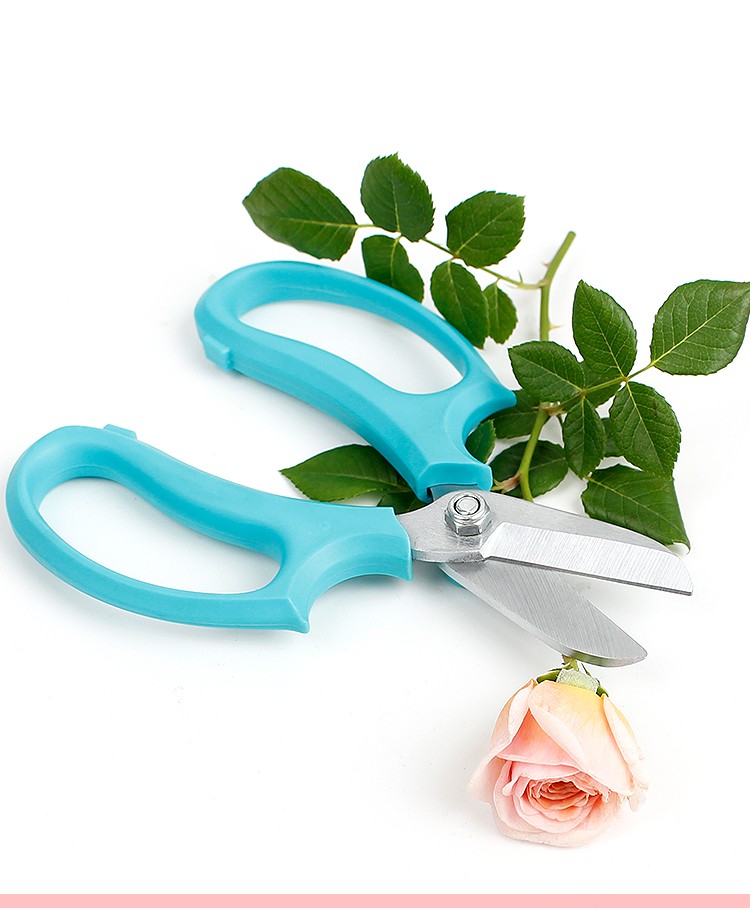 德国道什威尔剪花剪刀家用花艺剪刀盆栽修剪园艺剪刀插花修枝剪刀