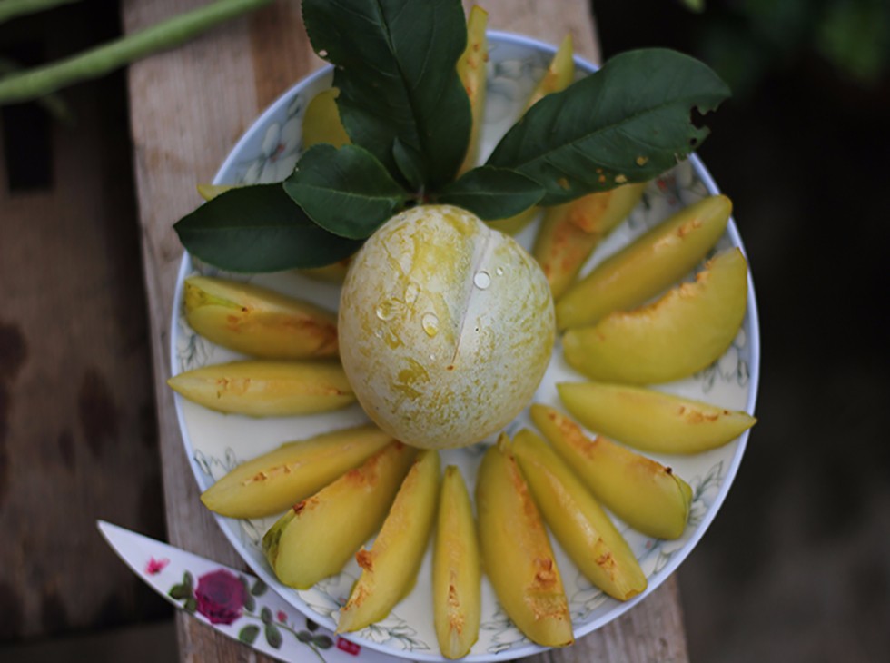 顺丰广东乐昌九峰山黄金奈李水果新鲜黄布林恐龙蛋甜脆李子脱骨李中果