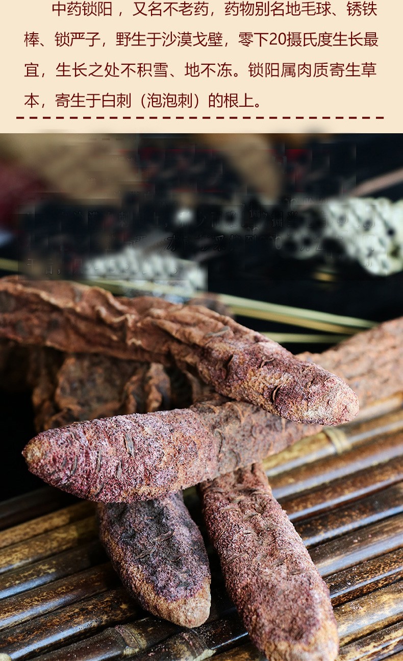 铭参坊 锁阳片整支整根枝甘肃金锁阳 锁阳茶可搭配新疆阿拉善中药肉