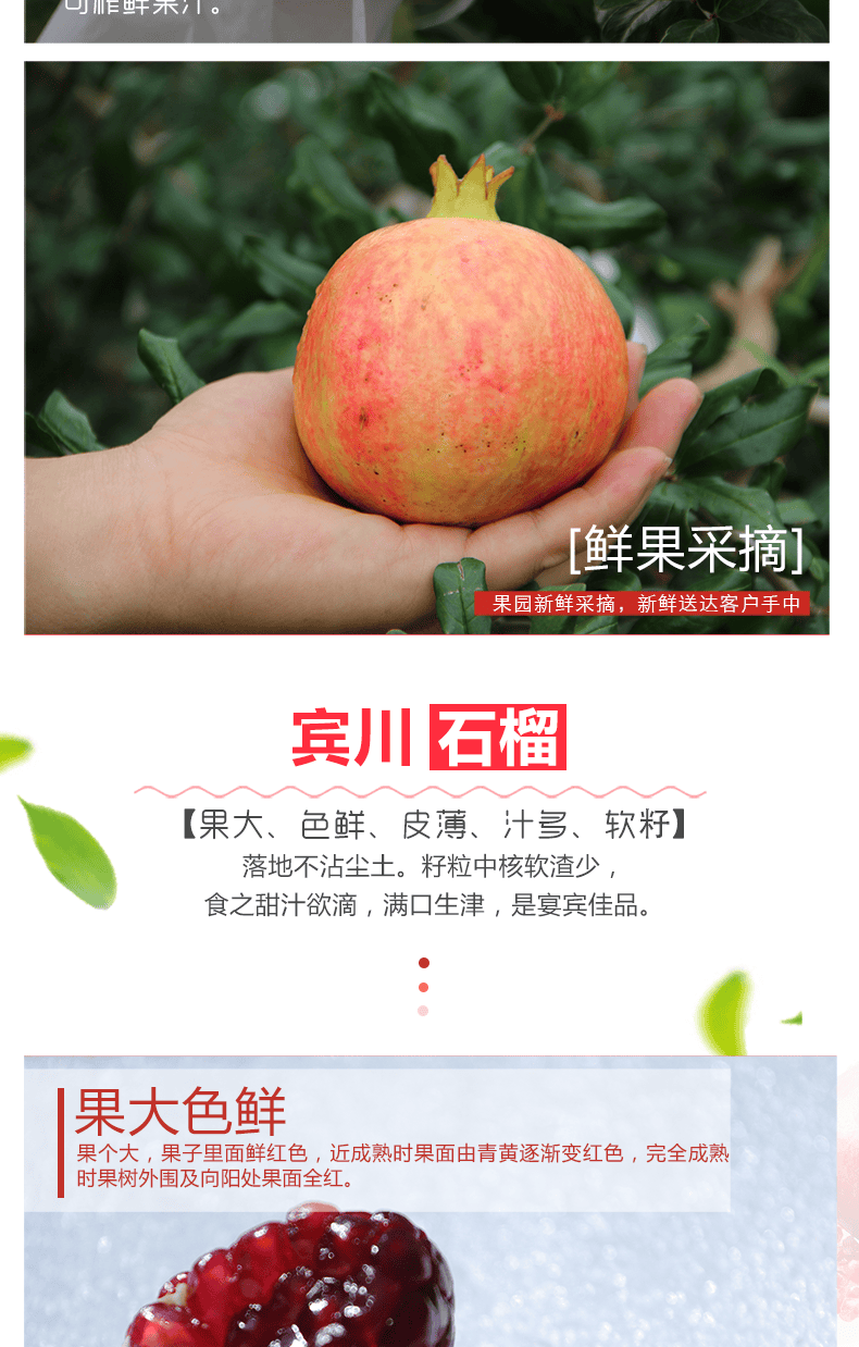媚调【顺丰发货】云南宾川突尼斯软籽石榴 会理黑珍珠石榴 新鲜水果