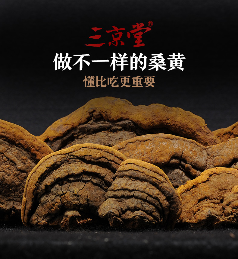 三京堂桑黄灵芝整枝长白山桑黄菌茶可搭孢子粉滋补好礼500g中枝切块打